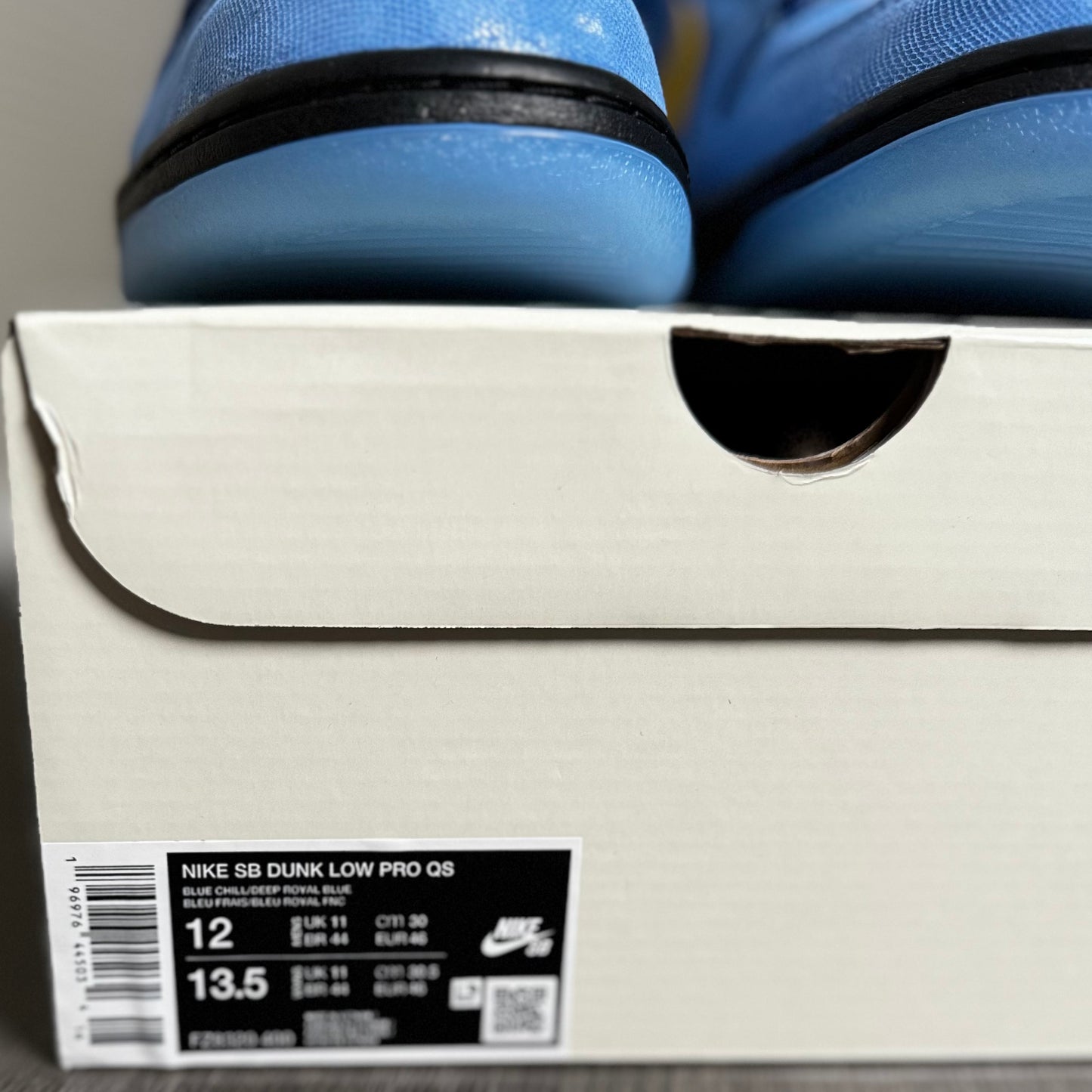 Bubbles Nike SB Dunk low (Size 12)